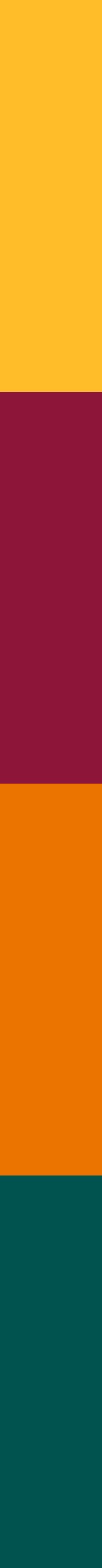 Sri Lanka Flag